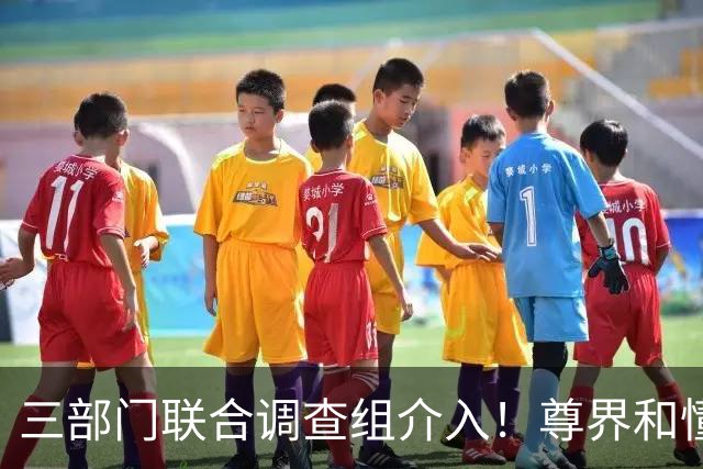 三部门联合调查组介入！尊界和懂车帝谁最慌？