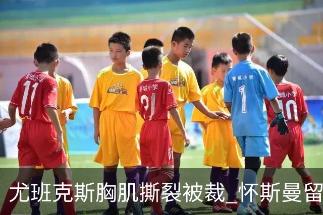 尤班克斯胸肌撕裂被裁 怀斯曼留队机会大增