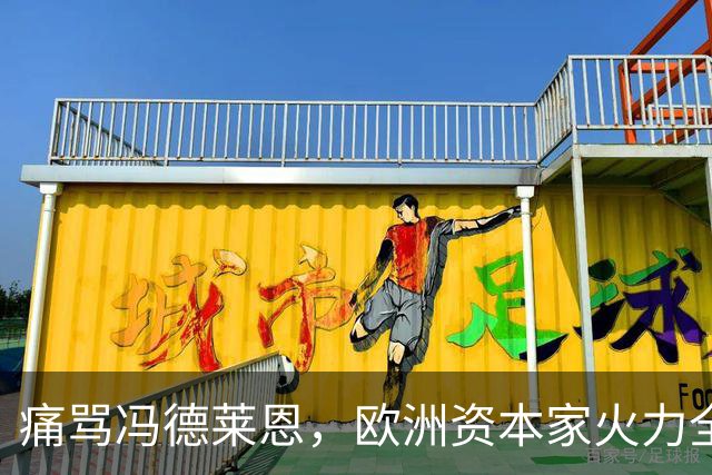 痛骂冯德莱恩，欧洲资本家火力全开，欧洲议会里全是蠢人