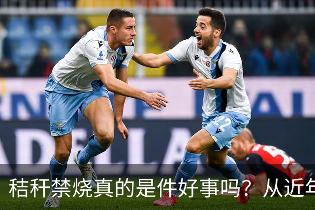 秸秆禁烧真的是件好事吗？从近年蚯蚓鸟类和蛇类数量就能看出来