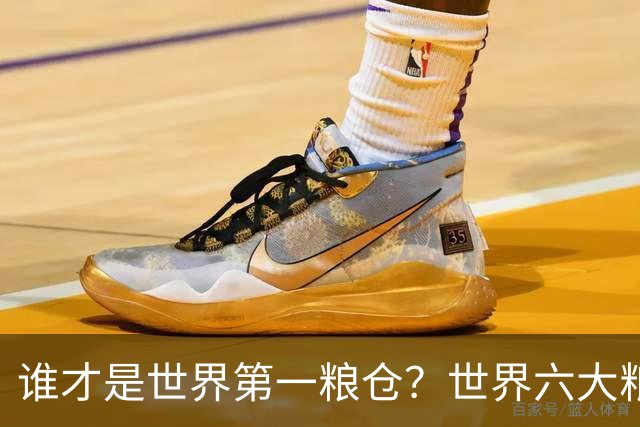 谁才是世界第一粮仓？世界六大粮食生产国，都有谁？